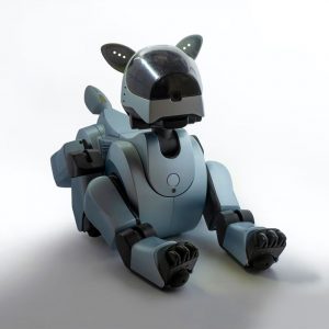 Robotic Dog